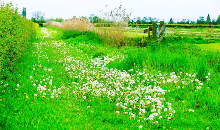 Landgoed Haarzuilens Landgoed Haarzuilens