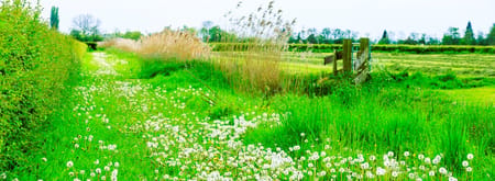 Landgoed Haarzuilens
