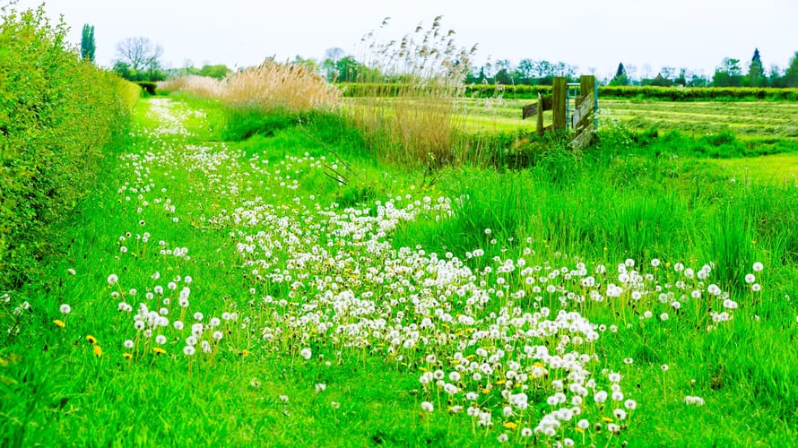 Landgoed Haarzuilens Landgoed Haarzuilens