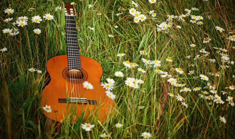 gitaar in bloemenveld zwoele zomeravond