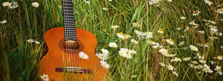gitaar in bloemenveld zwoele zomeravond