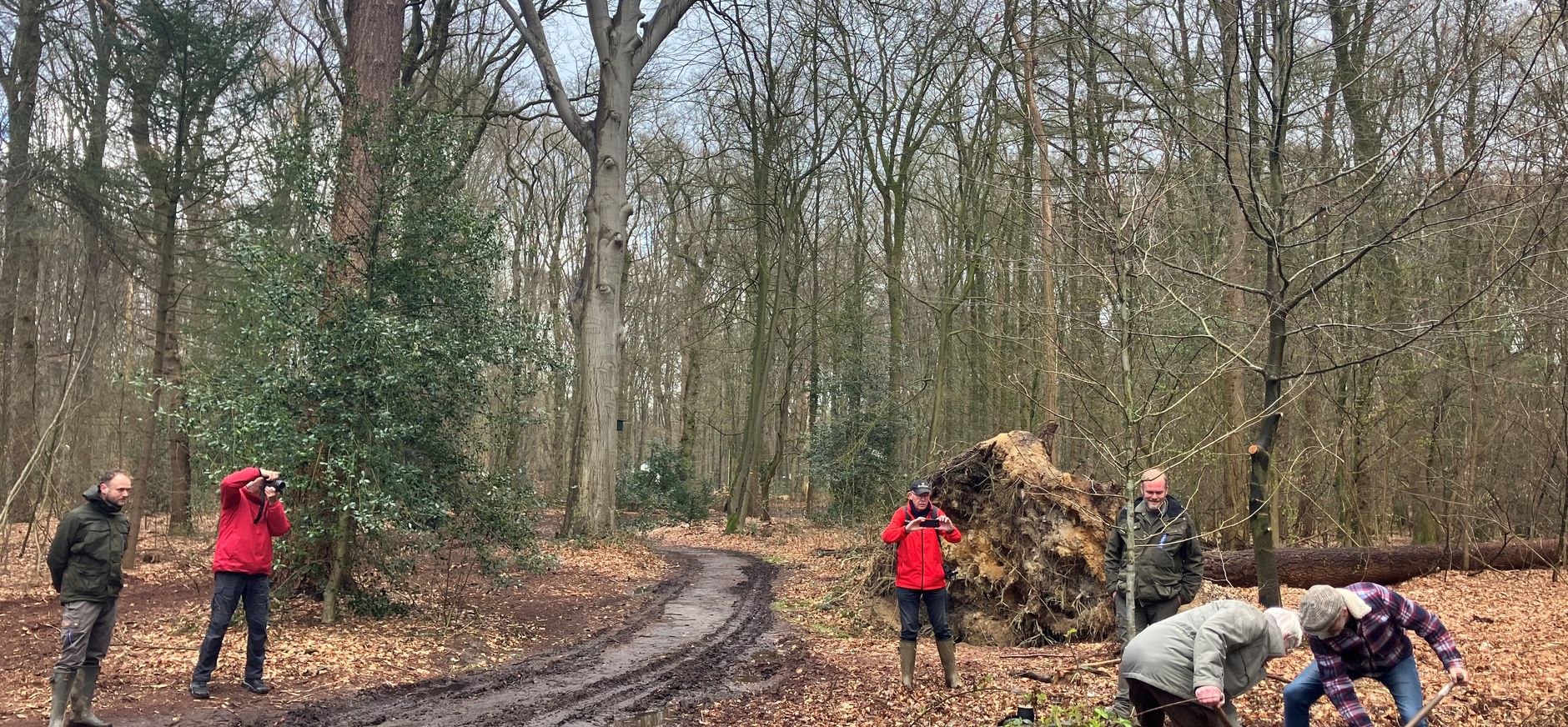 Dorpsraad Epse/Joppe plant boom in Hassinkbos 2026