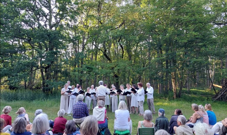 Optreden Doulce Memoire in de buitenlucht