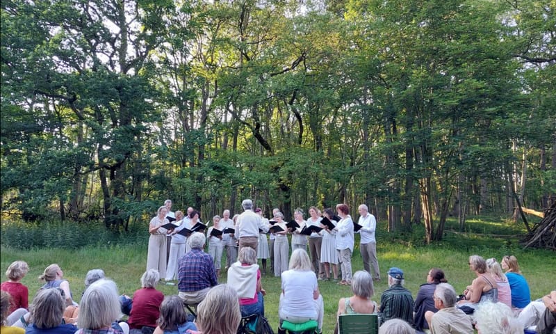 Optreden Doulce Memoire in de buitenlucht