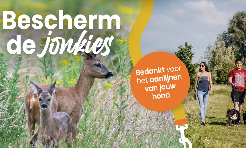Bescherm de jonkies Bescherm de jonkies