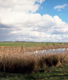 Landschap De Bovenlanden