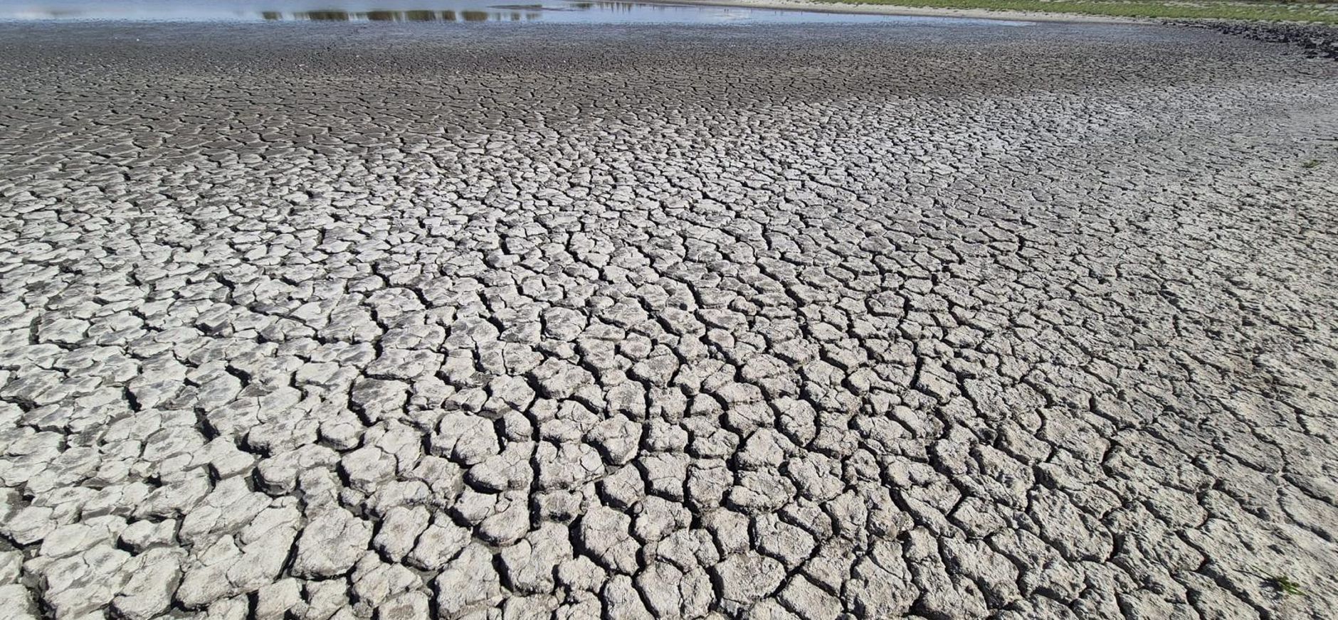 droogte