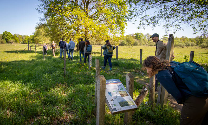 European Rewilding Network op bezoek in Kempen-Broek European Rewilding Network op bezoek in Kempen-Broek