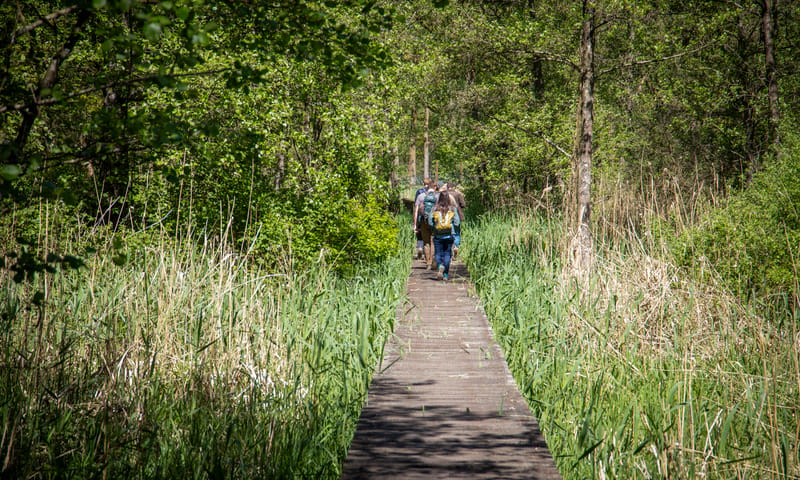 European Rewilding Network op bezoek in Kempen-Broek European Rewilding Network op bezoek in Kempen-Broek