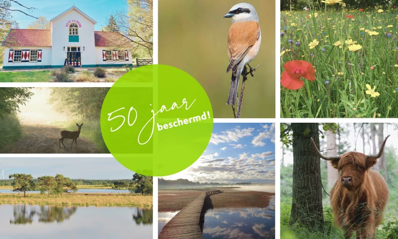 De natuur van Huis ter Heide