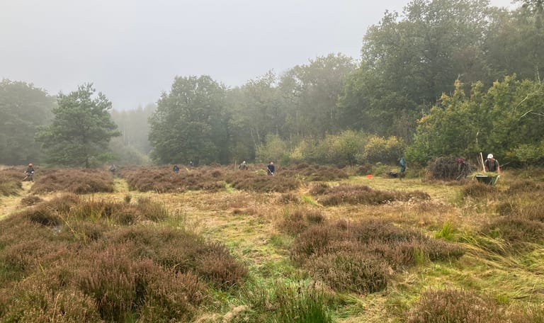 natuurbeheer Gaasterland natuurbeheer Gaasterland
