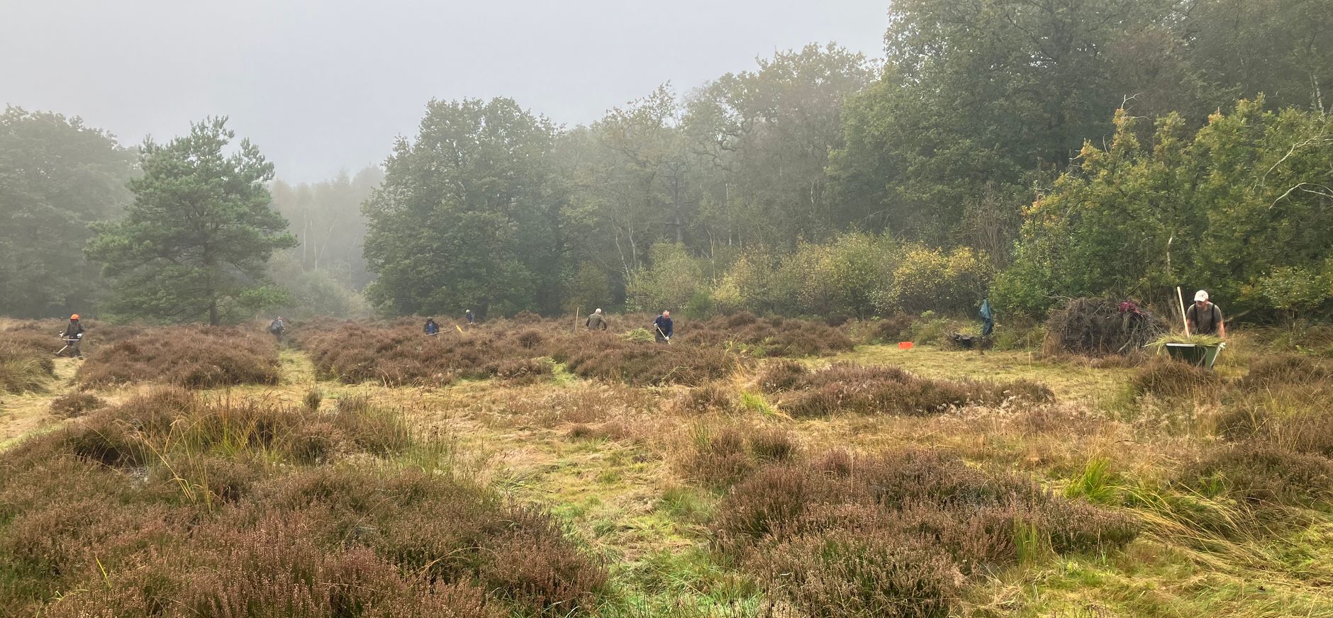 natuurbeheer Gaasterland natuurbeheer Gaasterland