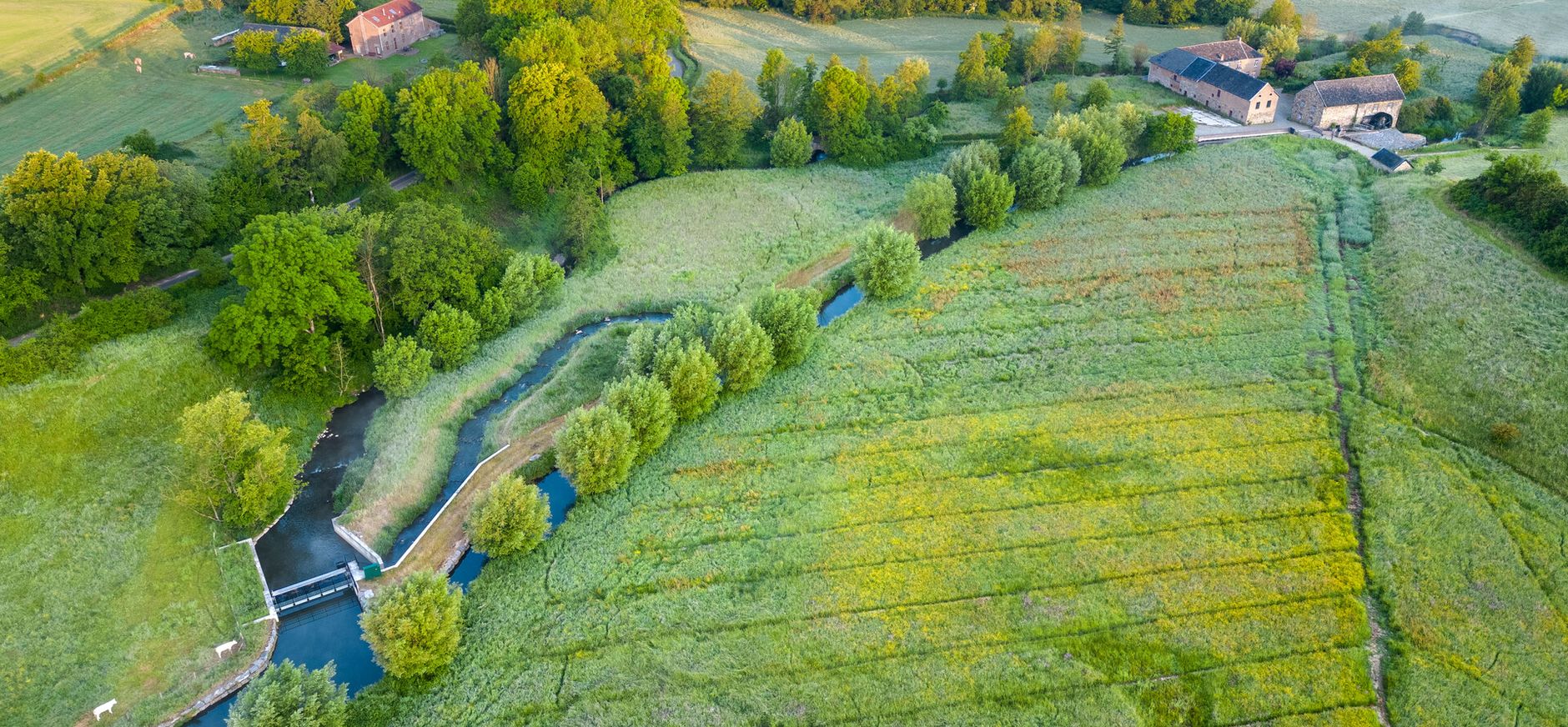 Natuurkracht
