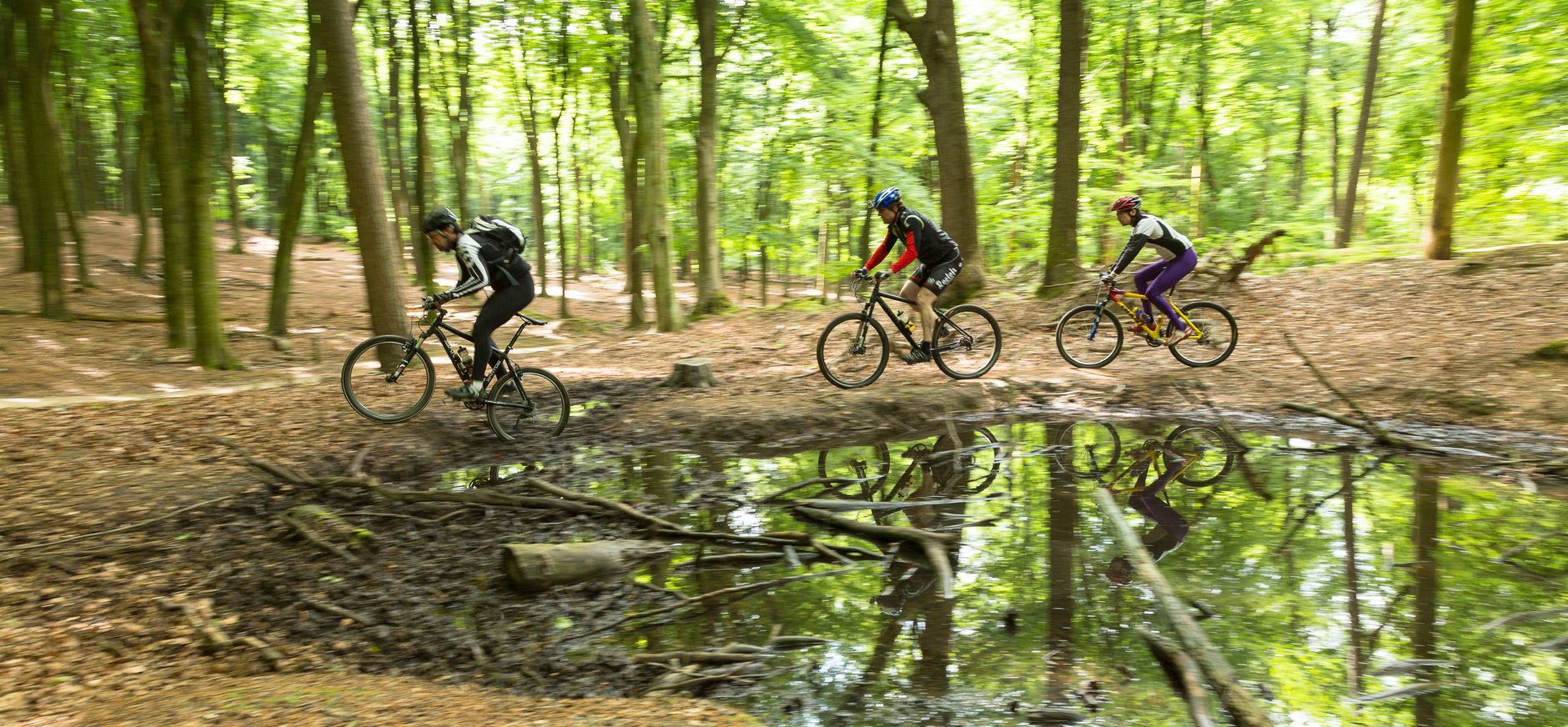 Mountainbikers Veluwezoom
