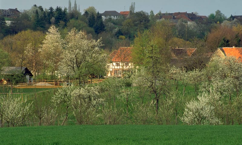 Noordal