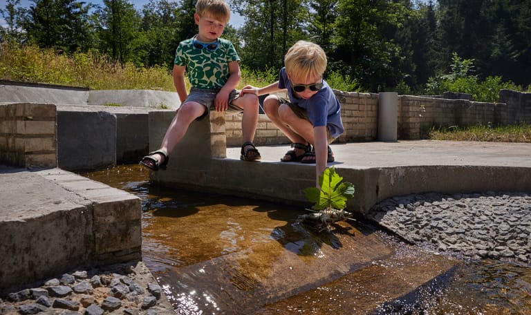 Kinderen vangen waterbeestjes
