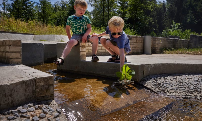 Kinderen vangen waterbeestjes