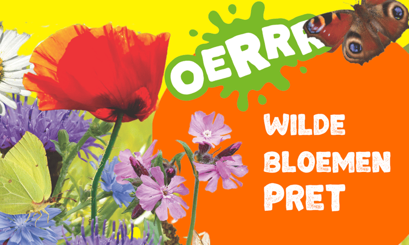 oerrr wilde bloemenpret