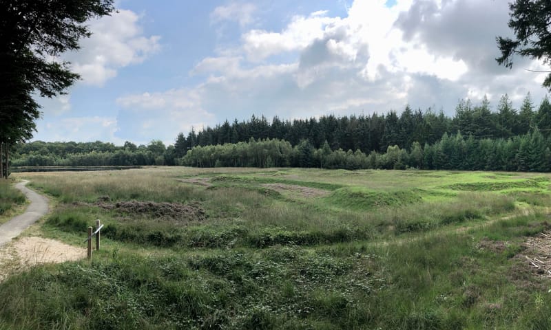 Foto van de Sterrenschans op Landgoed De Slotplaats