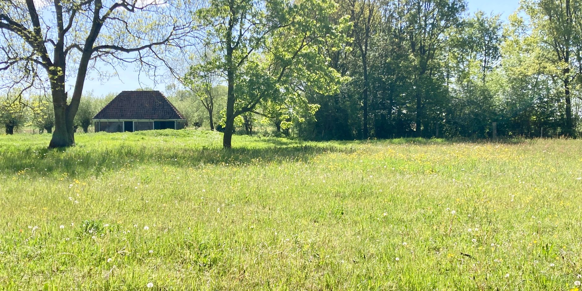 Varkensboet op landgoed Nijenburg
