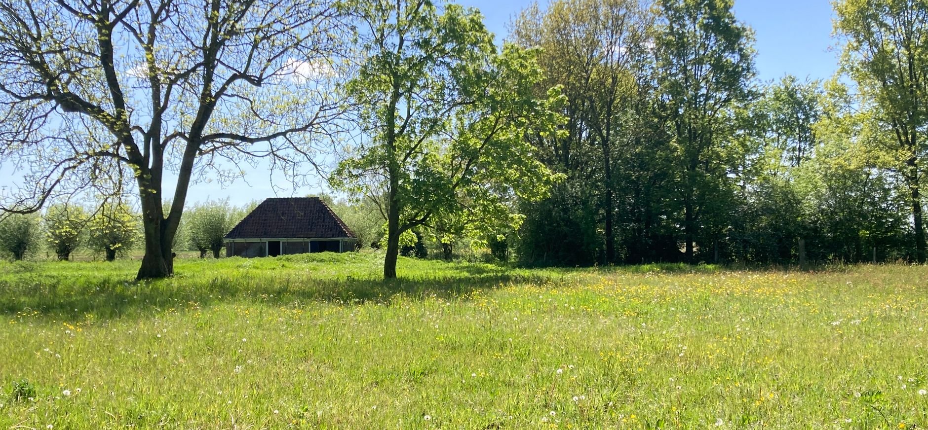 Weilandje met varkensschuur Landgoed Nijenburg