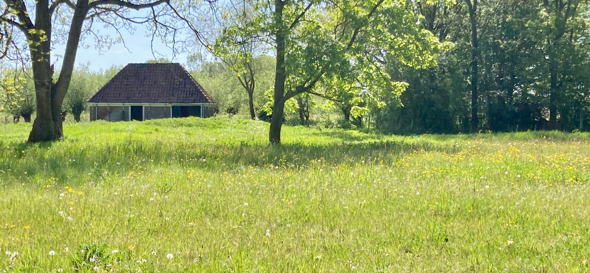 Varkensboet Nijenburg tussen de bomen