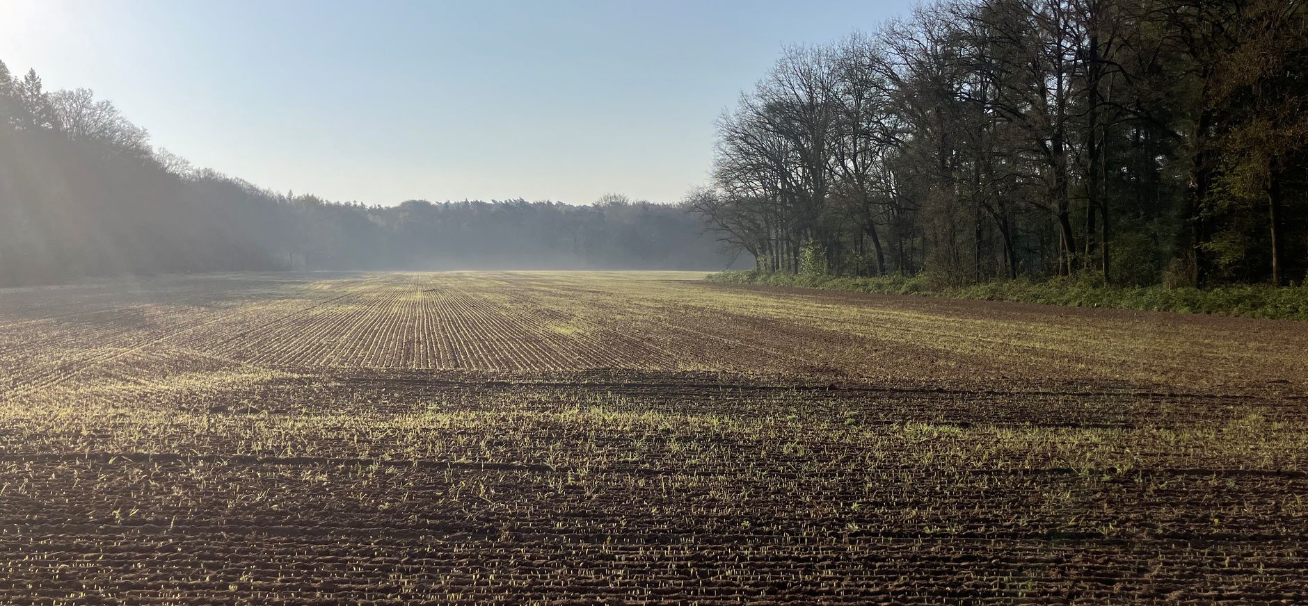 Biologische akker Bergherbos