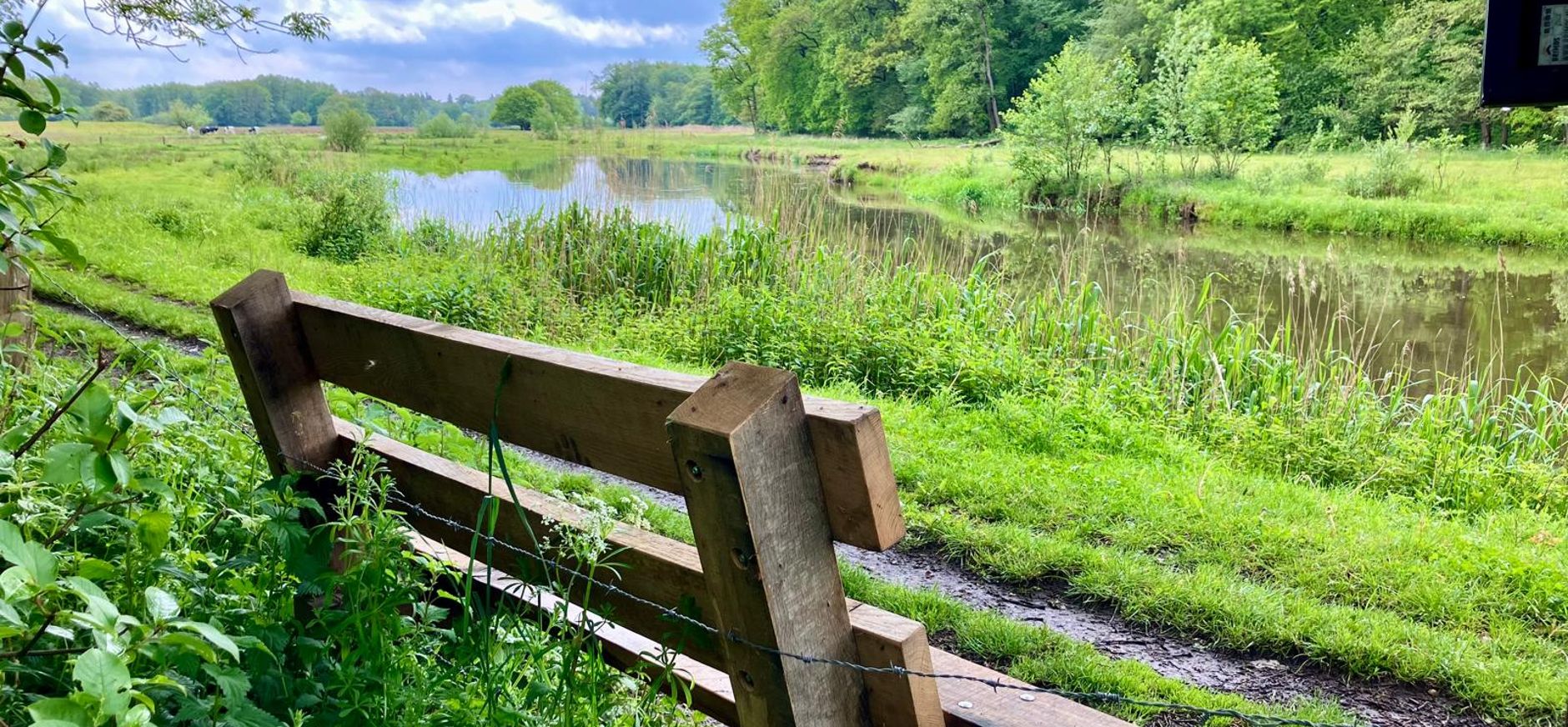 Bankje bij de Regge