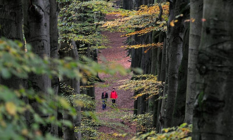 mountainbikers Veluwezoom