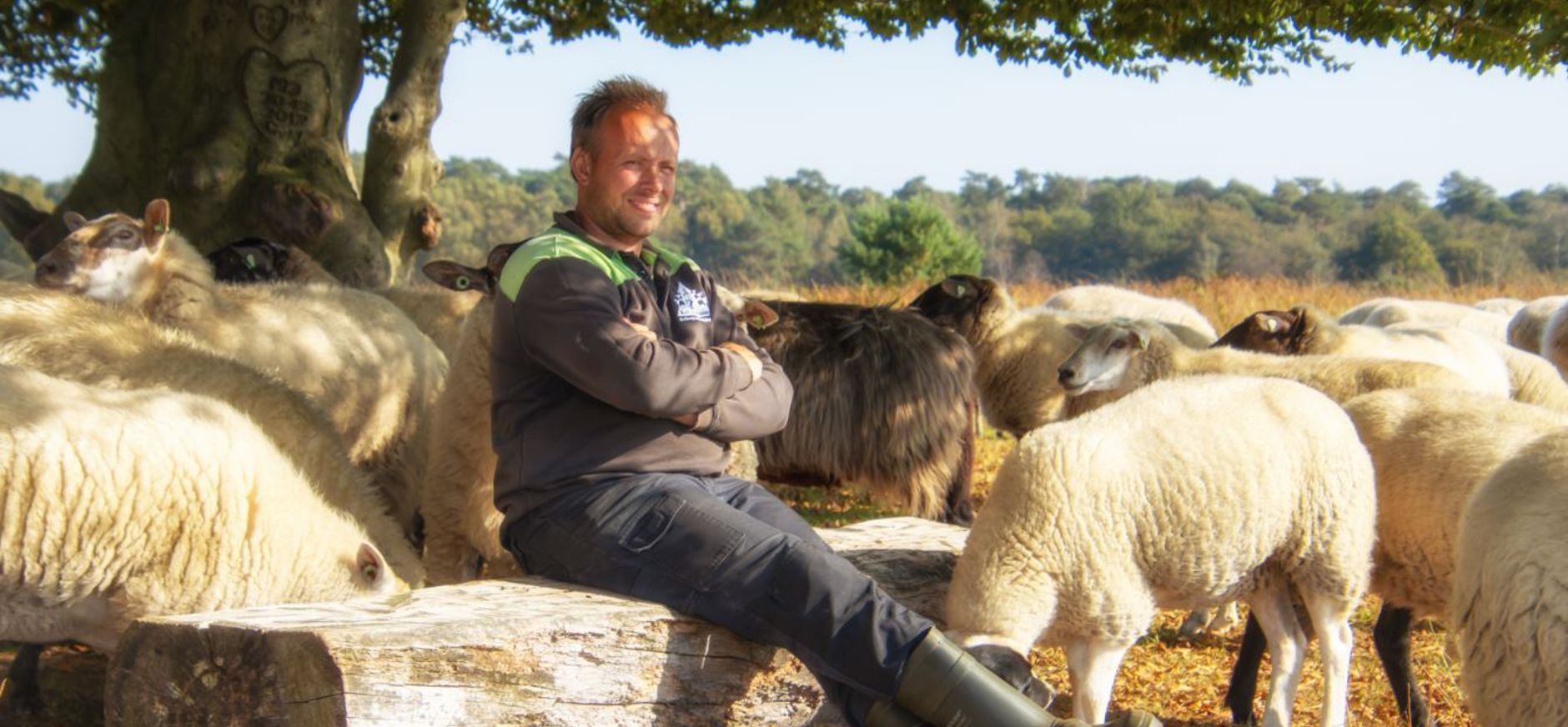 Schaapherder Boris met zijn kudde op de Kampina