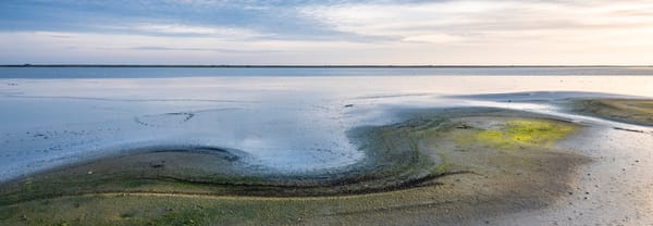 Slibveld Marker Wadden