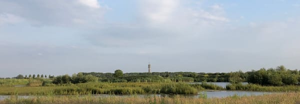 Televisietoren Megen vanaf de Maasakker