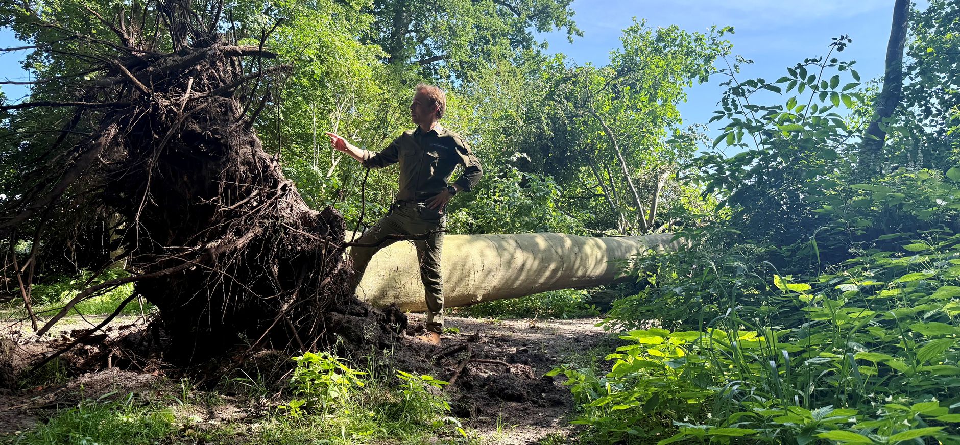 Stormschade Speelnatuur van OERRR Stormschade Speelnatuur van OERRR