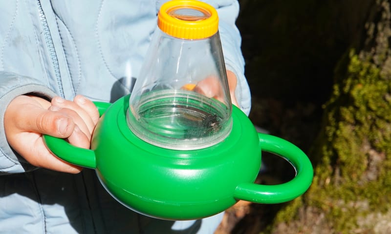 Kriebelbeestjes van dichtbij bekijken
