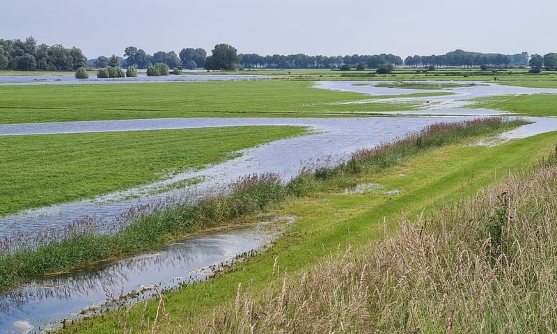IJsseluiterwaarden