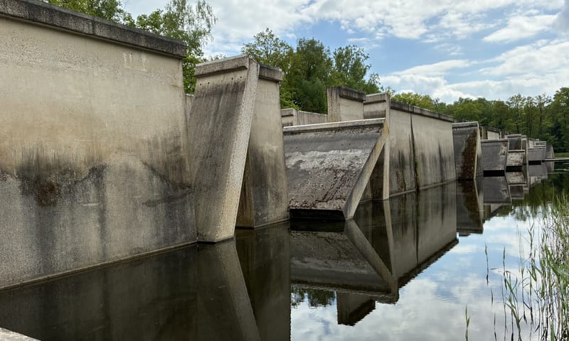 Landschapskunstwerk in Waterloopbos