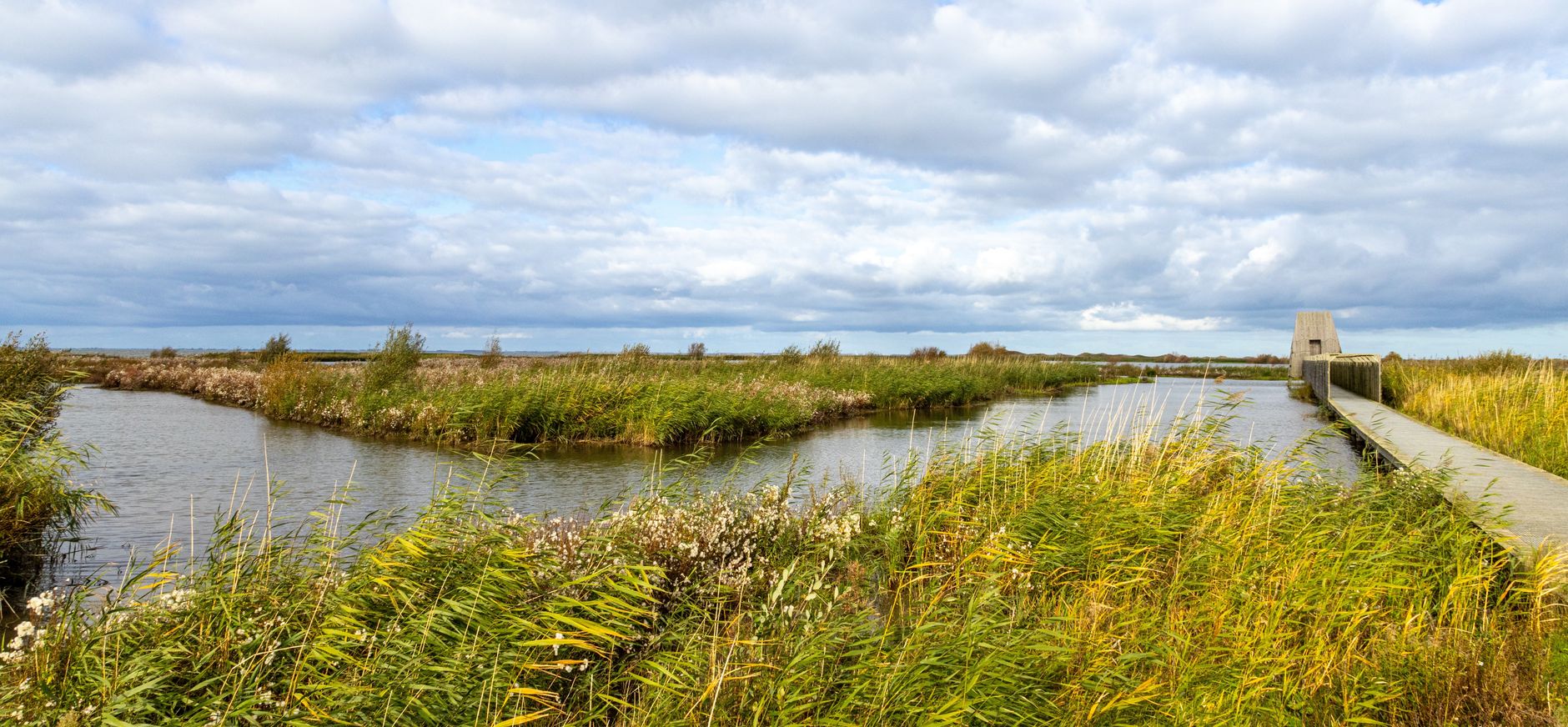 Kijkhut Lepelaar op Marker Wadden Kijkhut Lepelaar op Marker Wadden