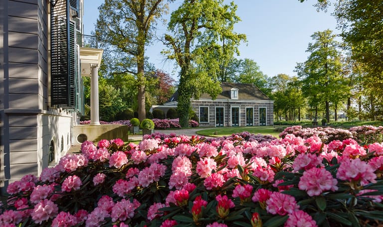 Koetshuis Rododendron