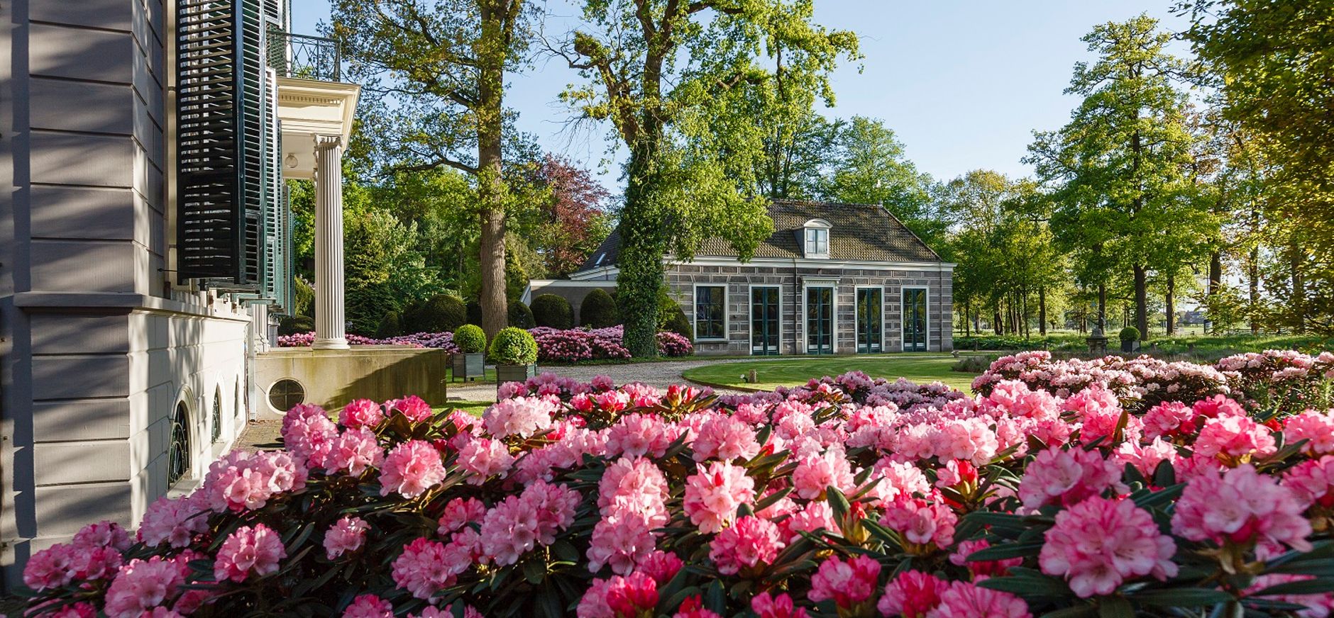 Koetshuis Rododendron