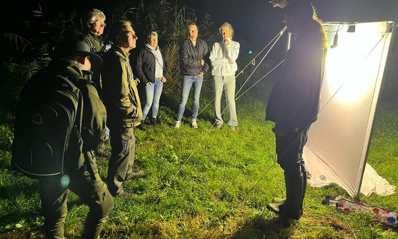 Nachtvlinders kijken tijdens Verborgen Nacht van de Ankeveense Plassen Nachtvlinders kijken tijdens Verborgen Nacht van de Ankeveense Plassen