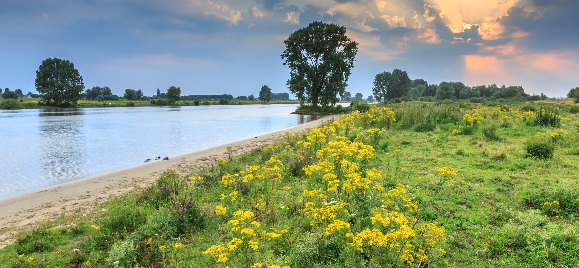 Landschap avond water