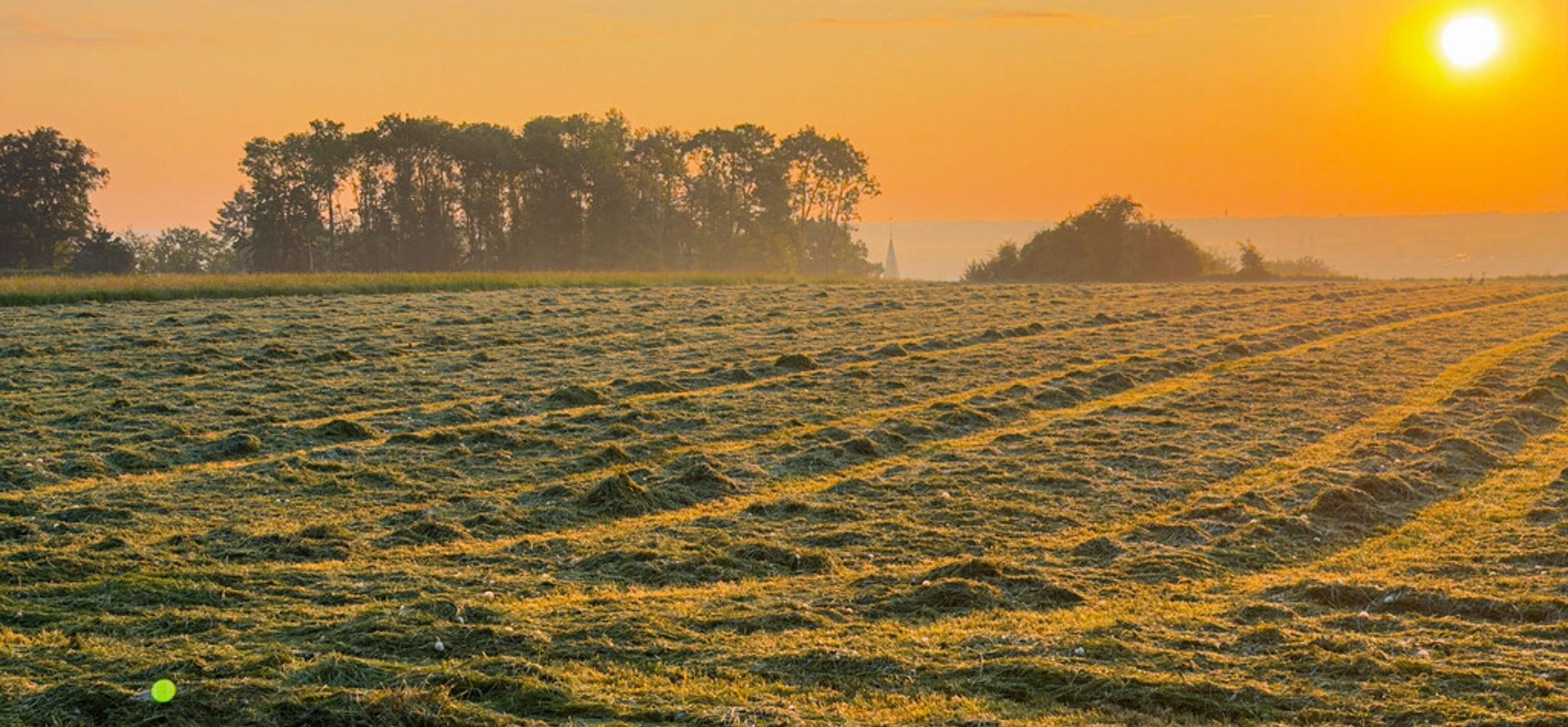Maaien op de Sint-Pietersberg