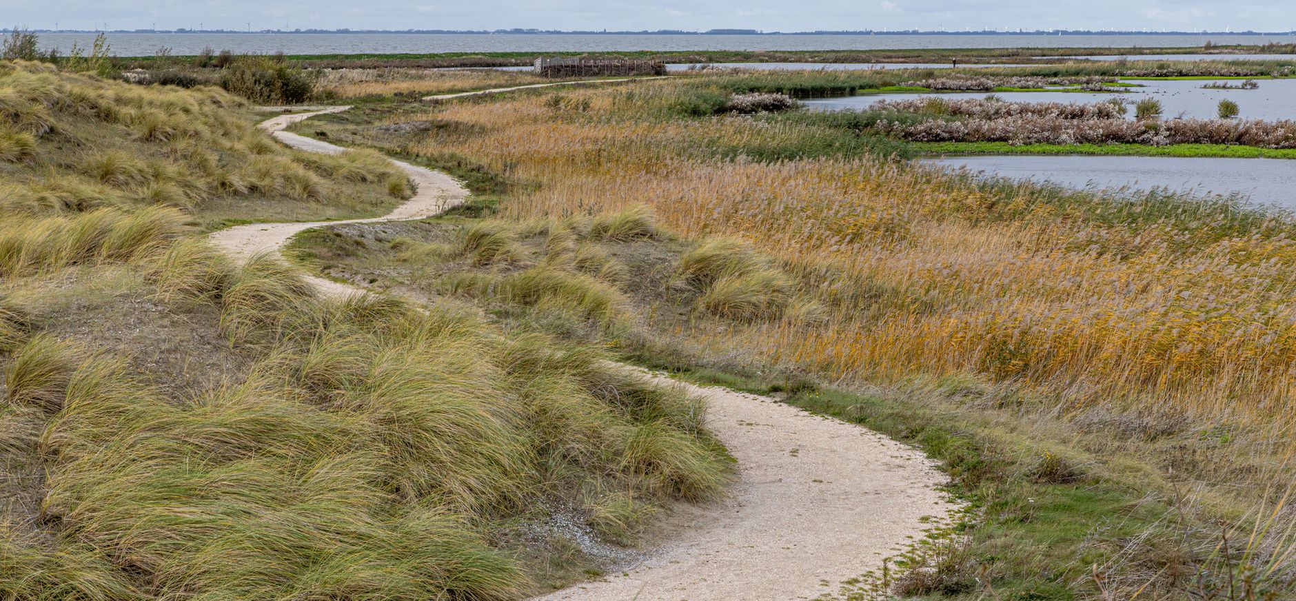 Pad over de Marker Wadden Paadje over de Marker Wadden