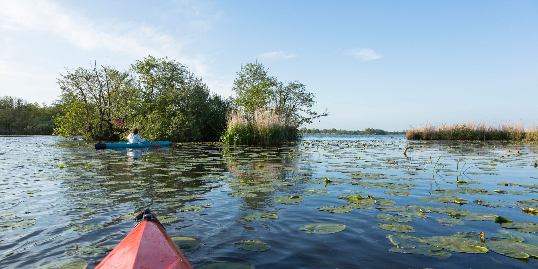 Kanovaarders tussen waterplanten