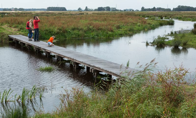 Gezin op bruggetje in De Onlanden Groningen Gezin op bruggetje in De Onlanden Groningen
