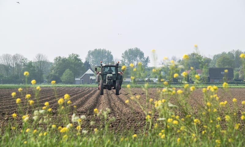 Trekker rijdt op de akker Trekker rijdt op de akker met op voorgrond geel koolzaad