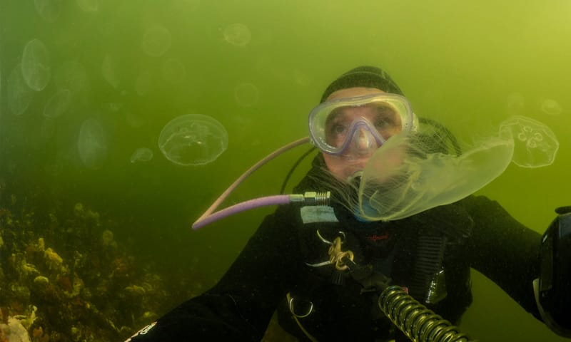 Sportduiker onder water Duiker onder water met duikbril en zuurstofslang