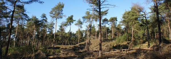 Stippels op de Stippelberg