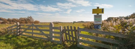 Rust en ruimte in de Uitlandse Polder