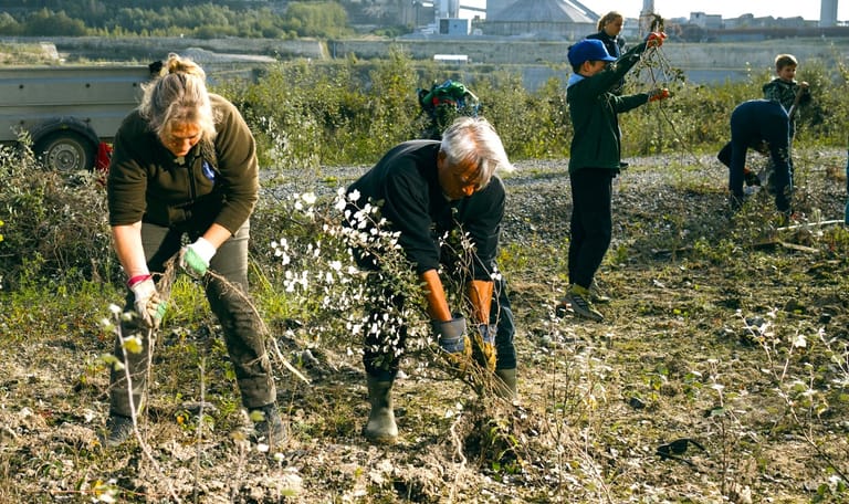 natuurwerkdag ENCI-groeve natuurwerkdag ENCI-groeve